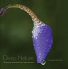 Deep Nature: Photographs from Iowa (Bur Oak Book) - Linda Scarth, John Pearson, Robert Scarth