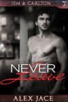 Never Leave - Alex Jace