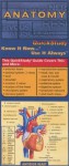 Anatomy (Quickstudy: Academic) - Inc. BarCharts