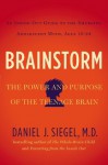 Brainstorm: The Teenage Brain from the Inside Out (Audio) - Daniel J. Siegel