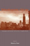 Ethnolinguistic Chicago: Language and Literacy in the City's Neighborhoods - FARR