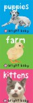 Bright Baby Chunky Pack: Puppies, Farm, Kittens - Roger Priddy