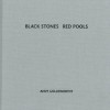 Black Stones Red Pools - Andy Goldsworthy