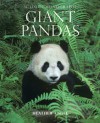 Giant Pandas - Heather Angel