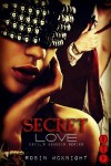 Secret Love (Devil's Boudoir #3) - Robin McKnight