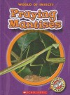 Praying Mantises - Colleen Sexton