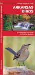 Arkansas Birds: A Folding Pocket Guide to Familiar Species - James Kavanagh