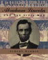 Commander in Chief: Abraham Lincoln and the Civil War - Albert Marrin