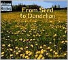 From Seed to Dandelion - Jan Kottke