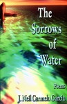 The Sorrows of Water: Poems - J. Neil C. Garcia