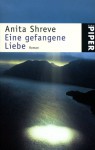 Eine gefangene Liebe / Where or When - Anita Shreve