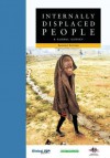 Internally Displaced People: A Global Survey - Janie Hampton