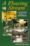 A Flowing Stream: An Informal History of Montreat - Elizabeth Maxwell