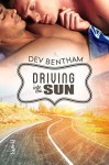 Driving Into the Sun - Dev Bentham