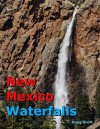 New Mexico Waterfalls - Doug Scott