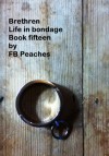 Brethren, Life In Bondage: Book Fifteen - F.B. Peaches