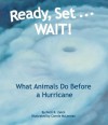 Ready, Set . . . WAIT! What Animals Do Before a Hurricane - Patti R. Zelch, Connie McLennan