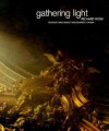 Gathering Light - Richard Ross