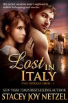Lost In Italy - Stacey Joy Netzel, Stacy D. Holmes