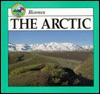 The Arctic - Lynn M. Stone