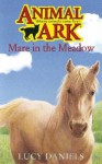 Mare in the Meadow (Animal Ark, #31) - Lucy Daniels