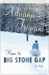 Home to Big Stone Gap - Adriana Trigiani