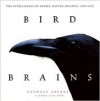 Bird Brains: The intelligence of crows, ravens, magpies, and jays - Candace Savage