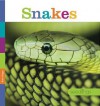 Seedlings: Snakes - Kate Riggs