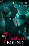 In Darkness Bound (The Society #1) - Christine Price