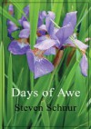 Days of Awe - Steven Schnur