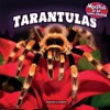 Tarantulas - Rachel Lynette