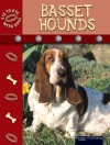 Bassett Hounds - Lynn M. Stone