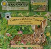 Cottontail at Clover Crescent [With Cassette] - C. Drew Lamm, Allen Davis, Alexi Komisar