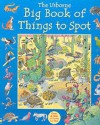 The Usborne Big Book of Things to Spot (Young searches) - Gillian Doherty, Anna Milbourne, Ruth Brocklehurst