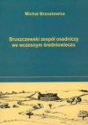 Bruszczewski zespół osadniczy we wczesnym średniowieczu - Michał Brzostowicz