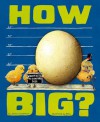 How Big?: Wacky Ways to Compare Size - Jessica Gunderson, Keino