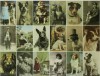 Postcard Dogs - Libby Hall