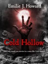 Cold Hollow (Cold Hollow Mysteries Book 1) - Emilie J. Howard