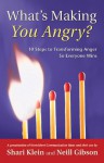 What's Making You Angry?: 10 Steps to Transforming Anger So Everyone Wins - Shari Klein, Shari Klein