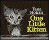 One Little Kitten - Tana Hoban