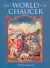 The World of Chaucer - Derek S. Brewer