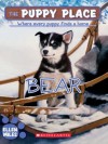 The Puppy Place #14: Bear - Ellen Miles