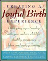 Creating a Joyful Birth Experience: Developing a Partnership with Your Unborn Child for Healthy Pregnancy, Labor, and Early Parenting - Lucia Capacchione, Sandra Bardsley