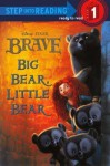 Brave: Big Bear, Little Bear - Susan Amerikaner