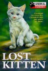 Lost Kitten - Emily Costello