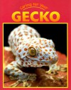 Caring for Your Gecko - Rennay Craats