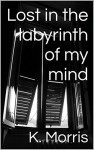 Lost in the labyrinth of my mind - K. Morris