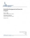 Hezbollah: Background and Issues for Congress - Christopher M. Blanchard, Casey L. Addis