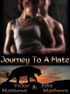 Journey To A Mate - Vickie Matthews, Julia Matthews