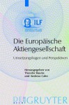 Die Europaische Aktiengesellschaft: Umsetzungsfragen Und Perspektiven - Theodor Baums